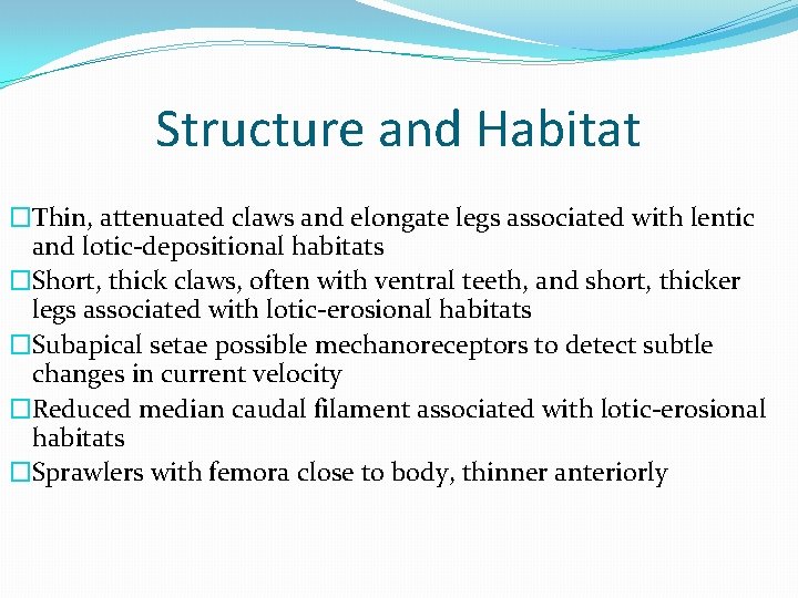 Structure and Habitat �Thin, attenuated claws and elongate legs associated with lentic and lotic-depositional