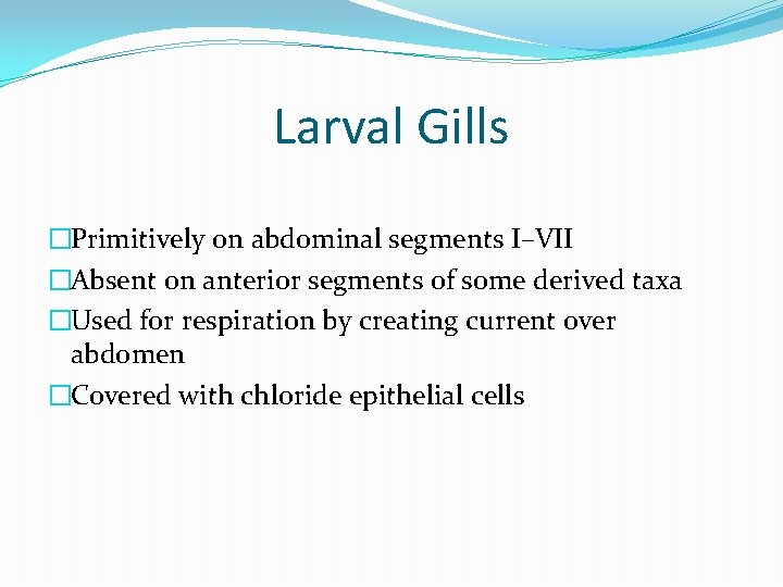 Larval Gills �Primitively on abdominal segments I–VII �Absent on anterior segments of some derived