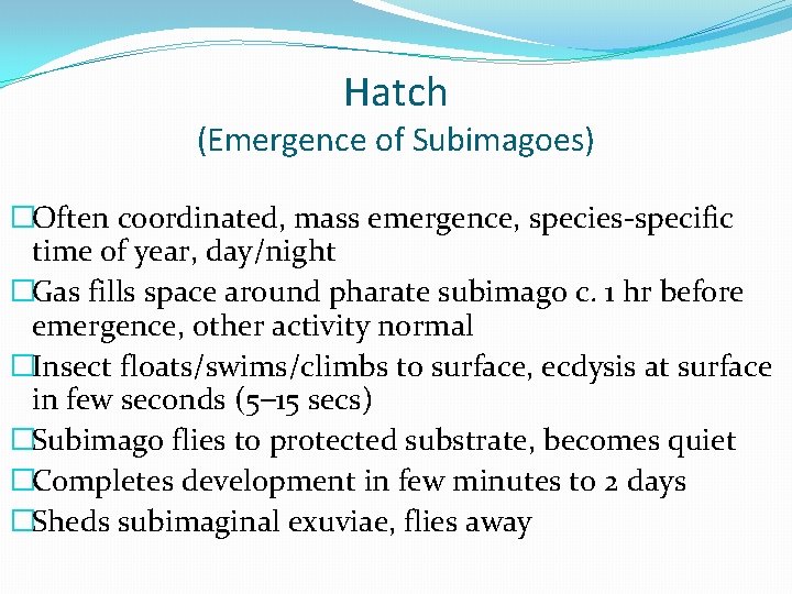 Hatch (Emergence of Subimagoes) �Often coordinated, mass emergence, species-specific time of year, day/night �Gas