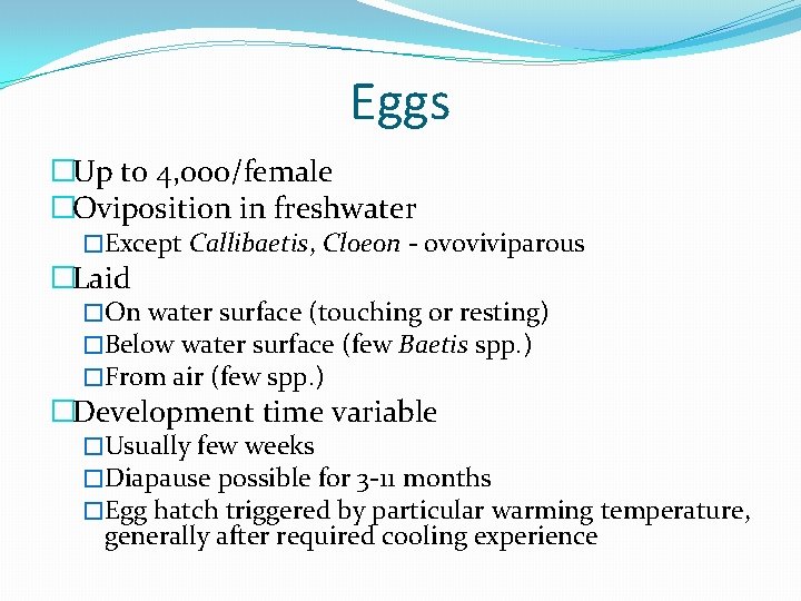 Eggs �Up to 4, 000/female �Oviposition in freshwater �Except Callibaetis, Cloeon - ovoviviparous �Laid