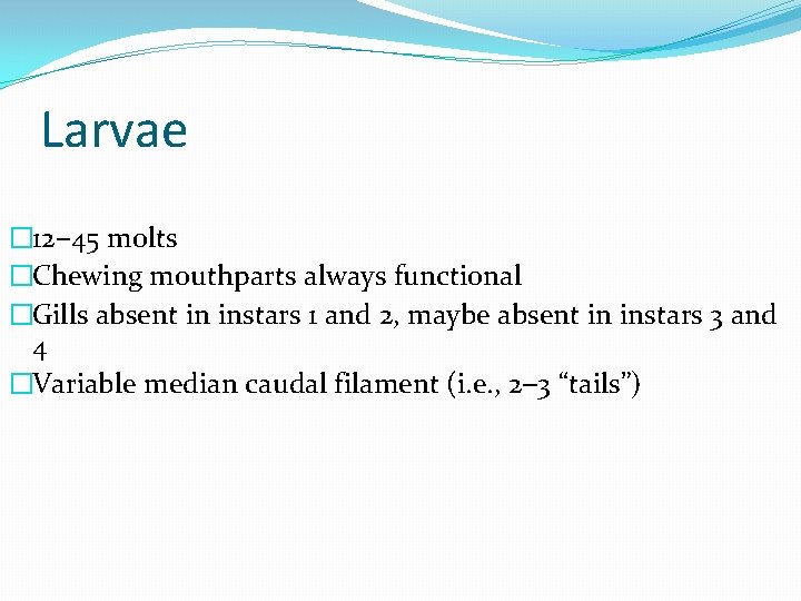 Larvae � 12– 45 molts �Chewing mouthparts always functional �Gills absent in instars 1