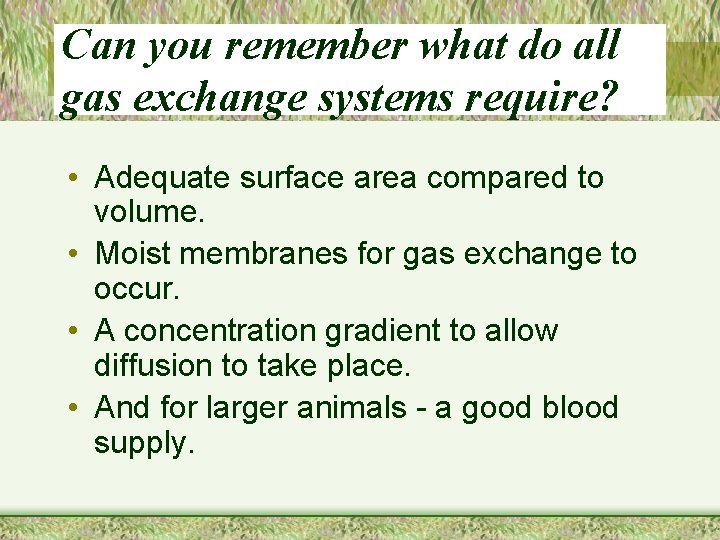 Can you remember what do all gas exchange systems require? • Adequate surface area