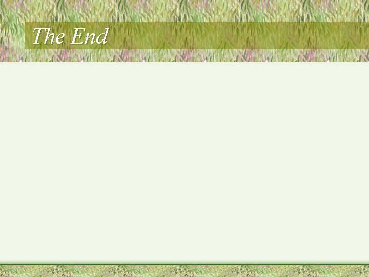The End 