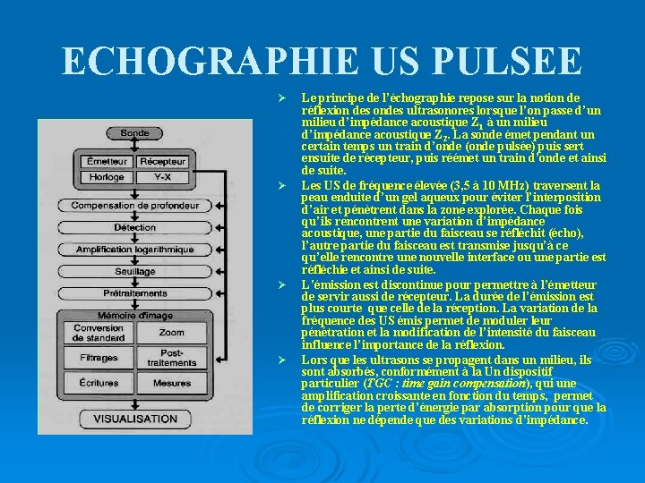 ECHOGRAPHIE US PULSEE Ø Ø Le principe de l’échographie repose sur la notion de