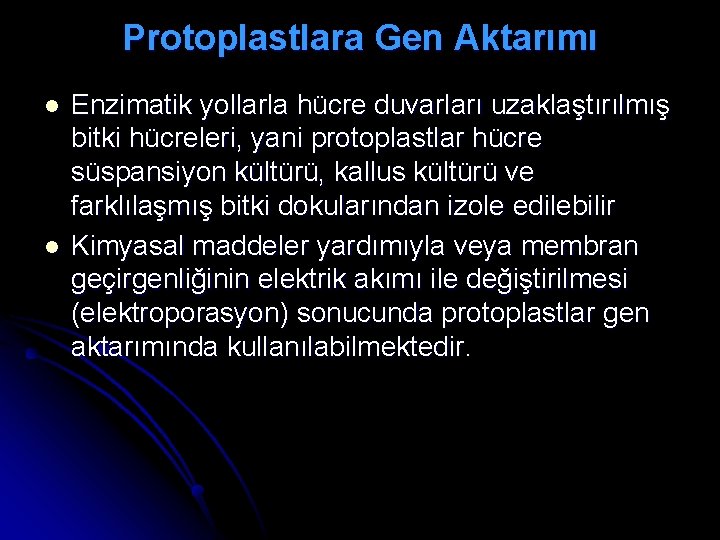 Protoplastlara Gen Aktarımı l l Enzimatik yollarla hücre duvarları uzaklaştırılmış bitki hücreleri, yani protoplastlar