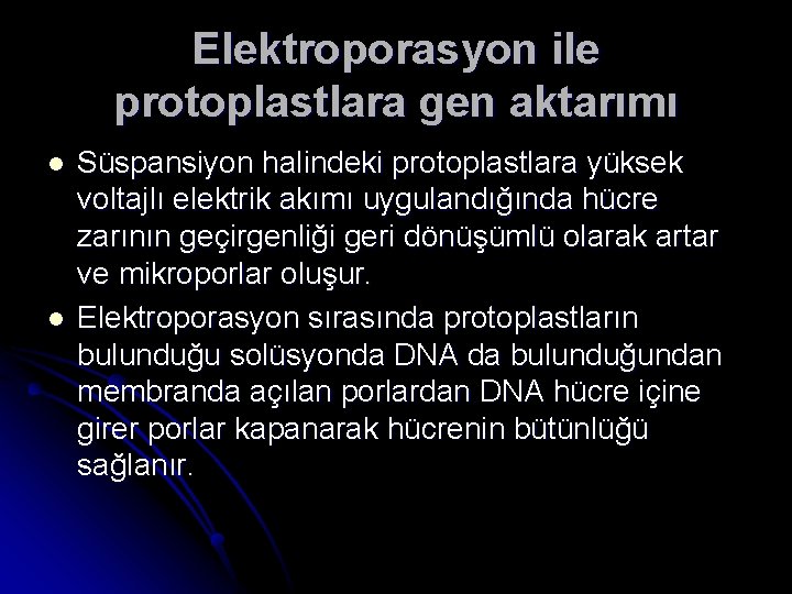 Elektroporasyon ile protoplastlara gen aktarımı l l Süspansiyon halindeki protoplastlara yüksek voltajlı elektrik akımı