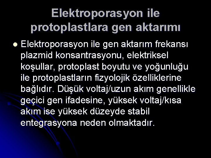 Elektroporasyon ile protoplastlara gen aktarımı l Elektroporasyon ile gen aktarım frekansı plazmid konsantrasyonu, elektriksel