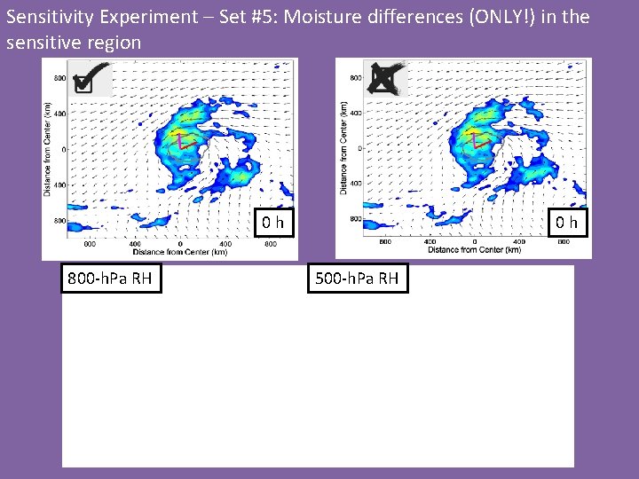 Sensitivity Experiment – Set #5: Moisture differences (ONLY!) in the sensitive region 0 h