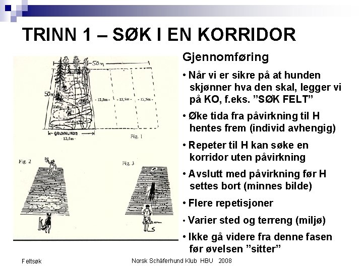 TRINN 1 – SØK I EN KORRIDOR Gjennomføring • Når vi er sikre på