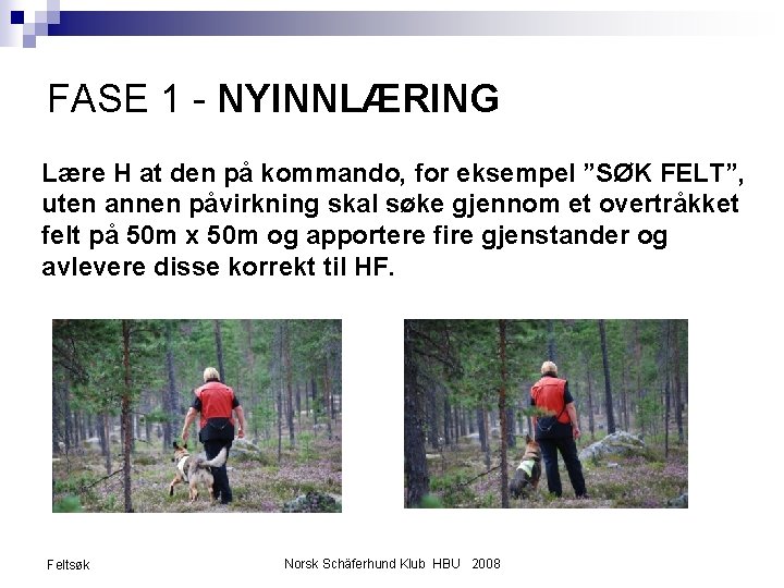 FASE 1 - NYINNLÆRING Lære H at den på kommando, for eksempel ”SØK FELT”,