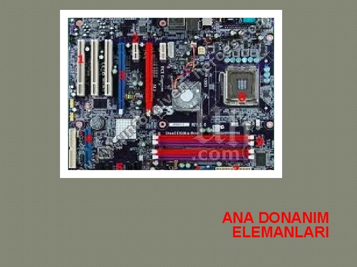 ANA DONANIM ELEMANLARI 
