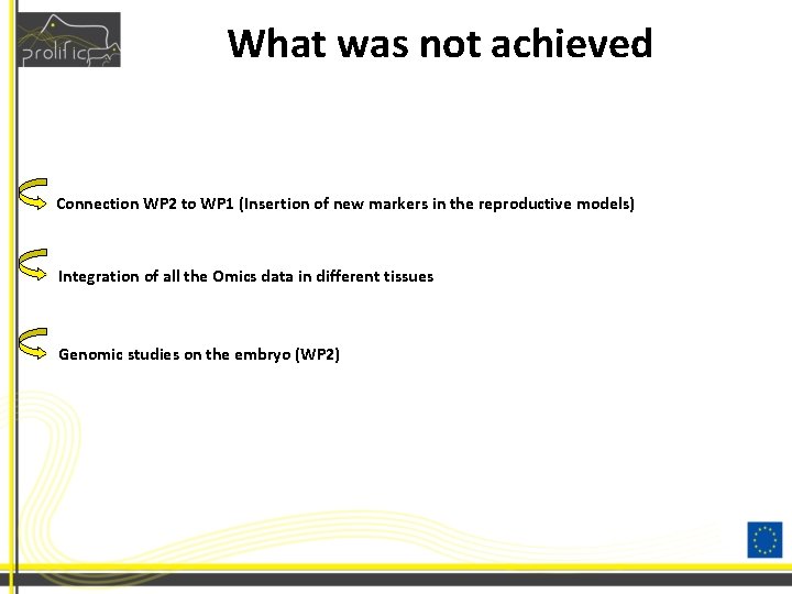 What was not achieved Connection WP 2 to WP 1 (Insertion of new markers