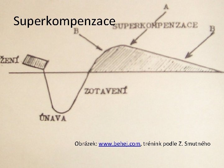 Superkompenzace Obrázek: www. behej. com, trénink podle Z. Smutného 
