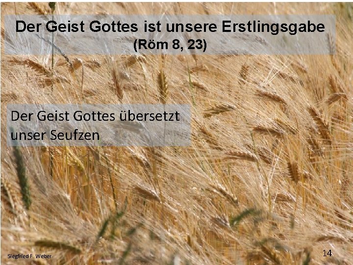 Der Geist Gottes ist unsere Erstlingsgabe (Röm 8, 23) Der Geist Gottes übersetzt unser