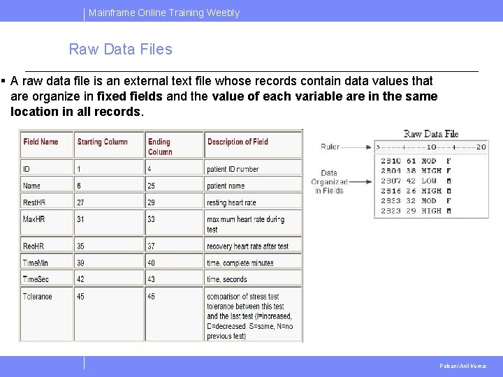 Mainframe Online Training Weebly Raw Data Files § A raw data file is an Mainframe Online Training Weebly Raw Data Files § A raw data file is an