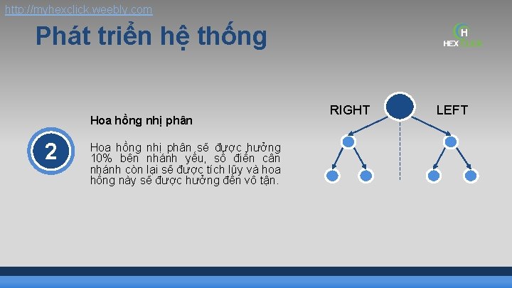 http: //myhexclick. weebly. com Phát triển hệ thống Hoa hồng nhị phân 2 Hoa