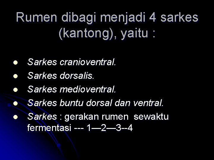 Rumen dibagi menjadi 4 sarkes (kantong), yaitu : l l l Sarkes cranioventral. Sarkes Rumen dibagi menjadi 4 sarkes (kantong), yaitu : l l l Sarkes cranioventral. Sarkes