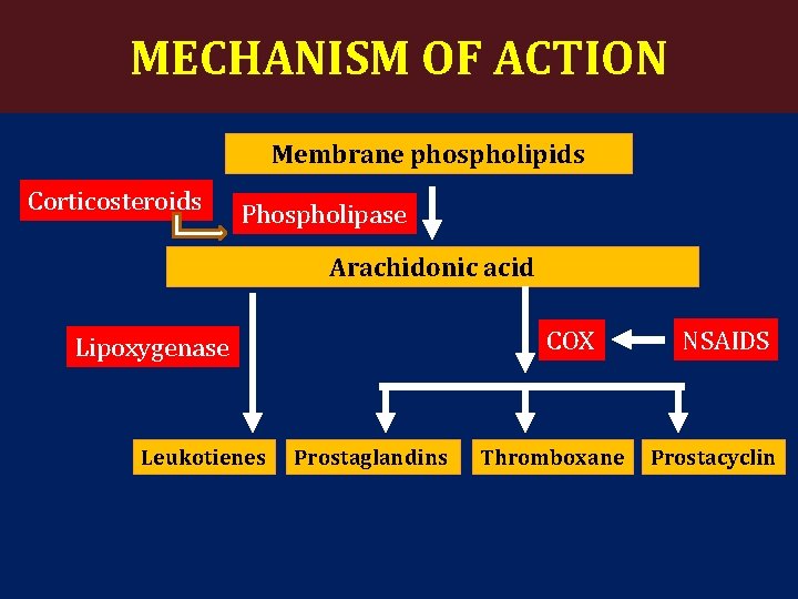 MECHANISM OF ACTION Membrane phospholipids Corticosteroids Phospholipase Arachidonic acid COX Lipoxygenase Leukotienes Prostaglandins Thromboxane
