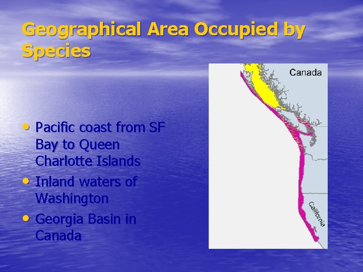 Geographical Area Occupied by Species • Pacific coast from SF • • Bay to