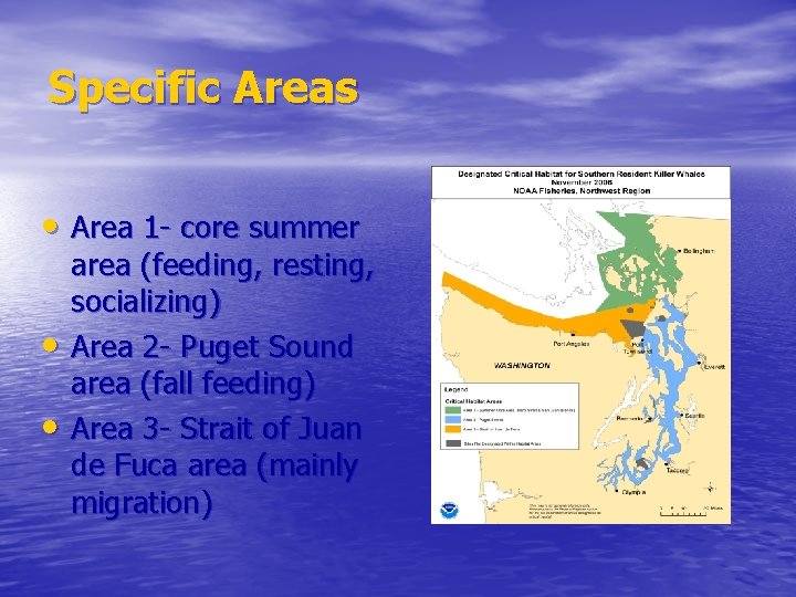 Specific Areas • Area 1 - core summer • • area (feeding, resting, socializing)