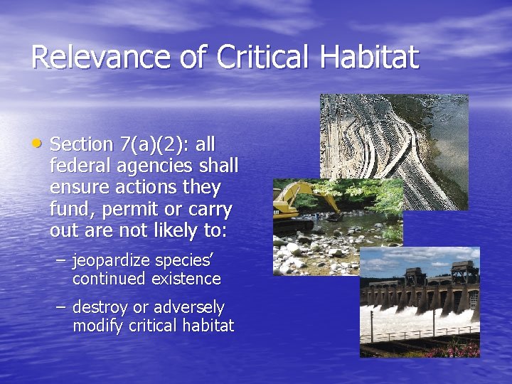 Relevance of Critical Habitat • Section 7(a)(2): all federal agencies shall ensure actions they