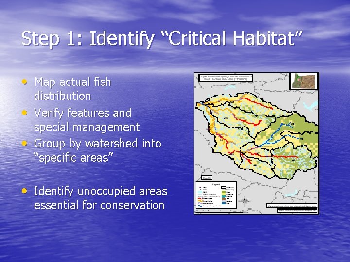 Step 1: Identify “Critical Habitat” • Map actual fish • • distribution Verify features