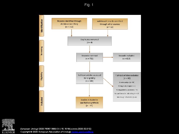 Fig. 1 European Urology 2020 78387 -399 DOI: (10. 1016/j. eururo. 2020. 02. 012)