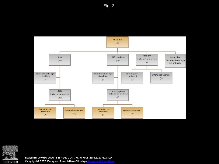 Fig. 3 European Urology 2020 78387 -399 DOI: (10. 1016/j. eururo. 2020. 02. 012)