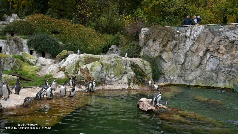 Zoo-Schönbrunn Foto © by Hermann Kolb @ Vienna. at 