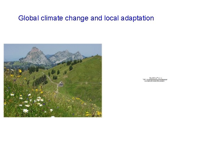 Global climate change and local adaptation 