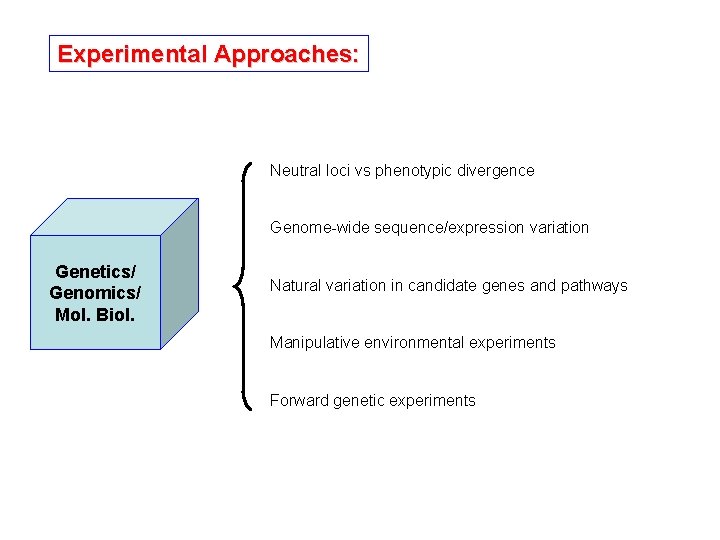 Experimental Approaches: Neutral loci vs phenotypic divergence Genome-wide sequence/expression variation Genetics/ Genomics/ Mol. Biol.