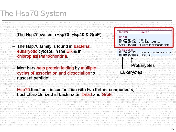 The Hsp 70 System – The Hsp 70 system (Hsp 70, Hsp 40 &