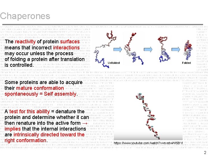 Chaperones The reactivity of protein surfaces means that incorrect interactions may occur unless the