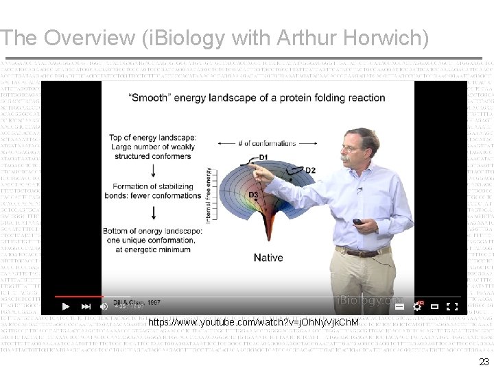 The Overview (i. Biology with Arthur Horwich) https: //www. youtube. com/watch? v=j. Oh. Ny.