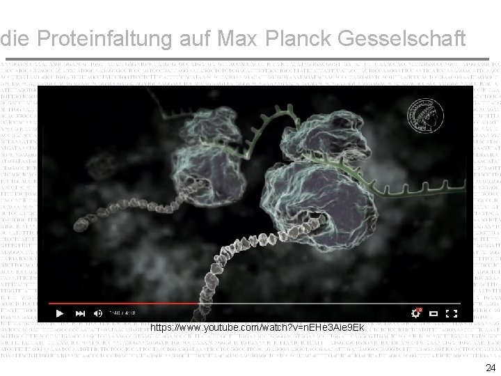 die Proteinfaltung auf Max Planck Gesselschaft https: //www. youtube. com/watch? v=n. EHe 3 Aie