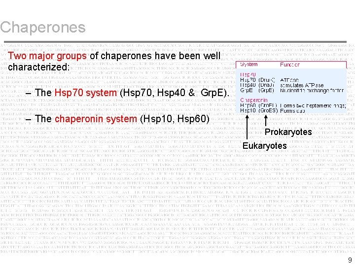 Chaperones Two major groups of chaperones have been well characterized: – The Hsp 70