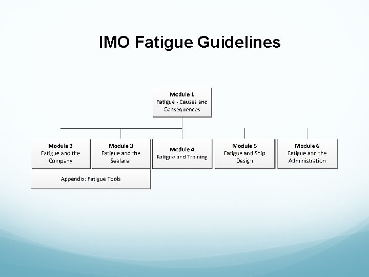 IMO Fatigue Guidelines 