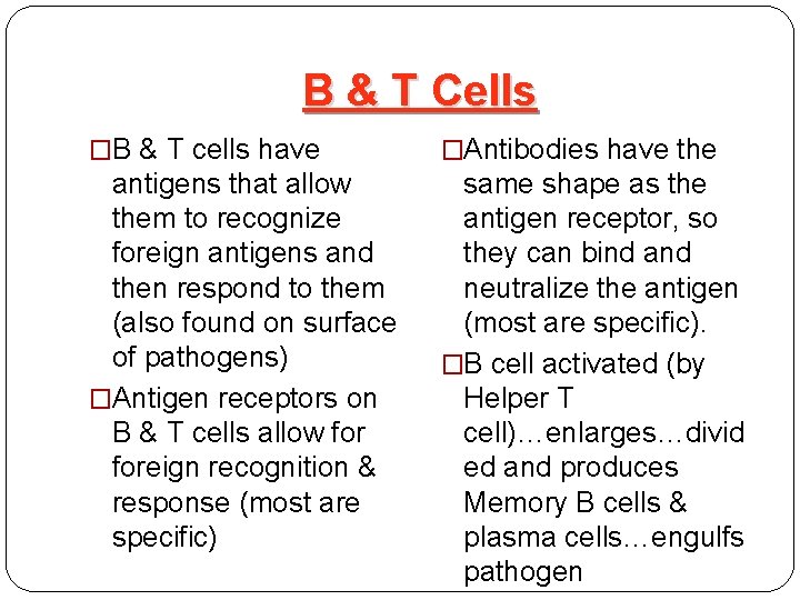B & T Cells �B & T cells have �Antibodies have the antigens that