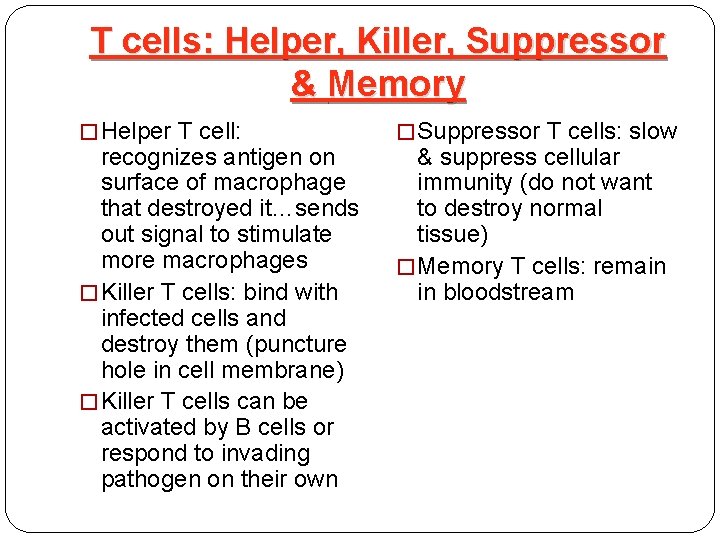 T cells: Helper, Killer, Suppressor & Memory � Helper T cell: recognizes antigen on