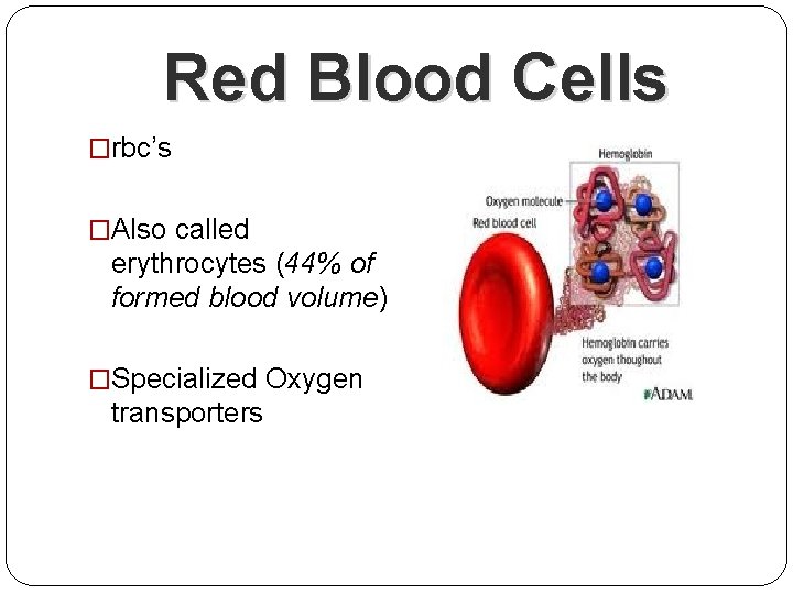 Red Blood Cells �rbc’s �Also called erythrocytes (44% of formed blood volume) �Specialized Oxygen