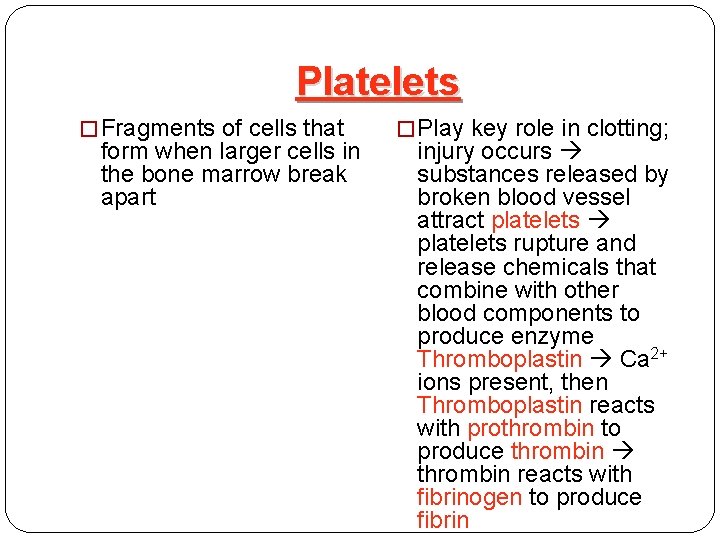 Platelets � Fragments of cells that form when larger cells in the bone marrow