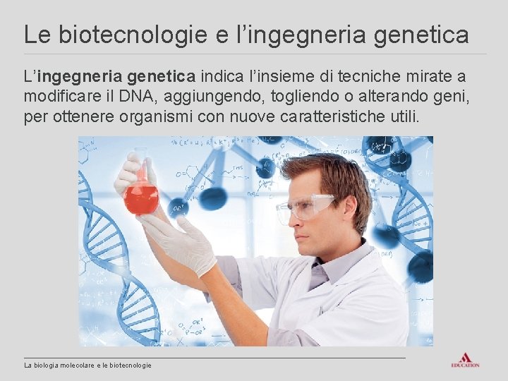 Le biotecnologie e l’ingegneria genetica L’ingegneria genetica indica l’insieme di tecniche mirate a modificare