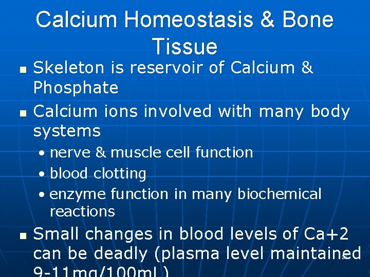 Calcium Homeostasis & Bone Tissue n n Skeleton is reservoir of Calcium & Phosphate