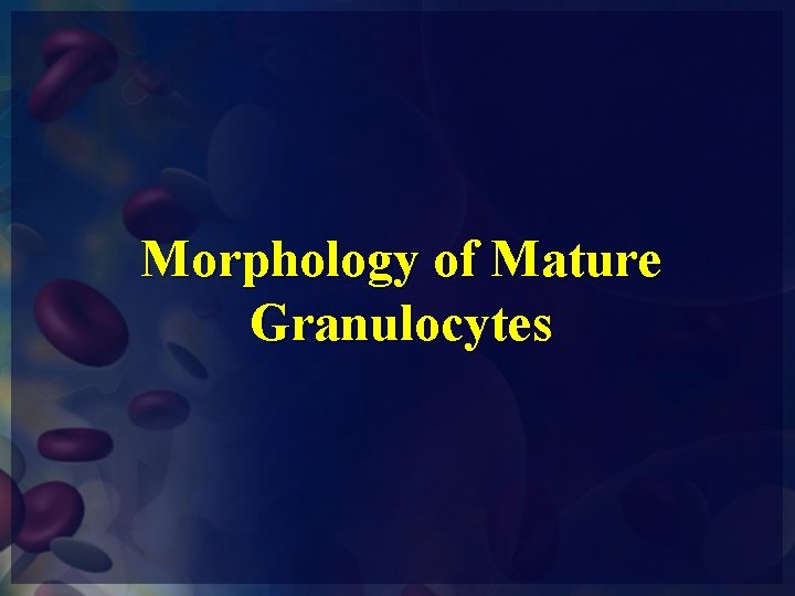 Morphology of Mature Granulocytes 