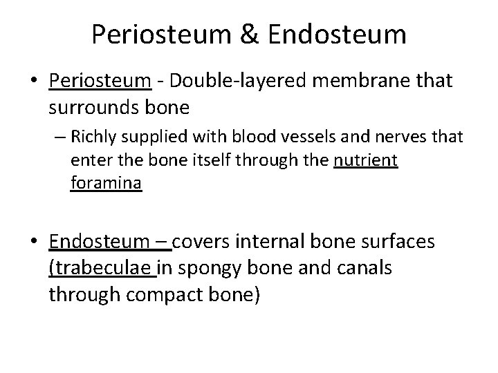 Periosteum & Endosteum • Periosteum - Double-layered membrane that surrounds bone – Richly supplied