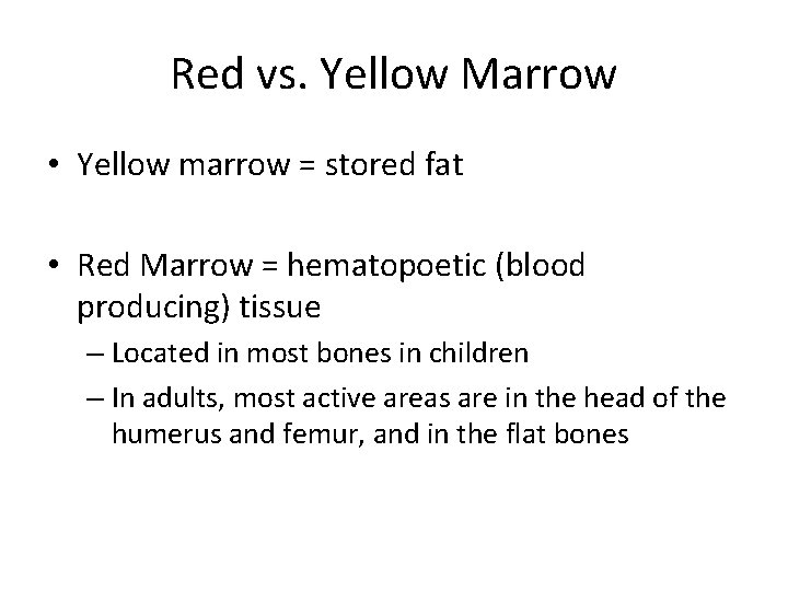 Red vs. Yellow Marrow • Yellow marrow = stored fat • Red Marrow =