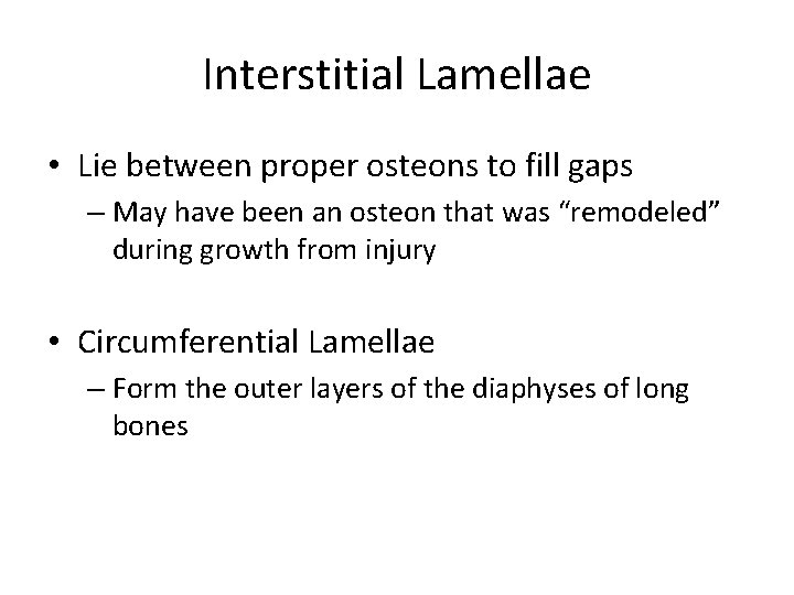 Interstitial Lamellae • Lie between proper osteons to fill gaps – May have been