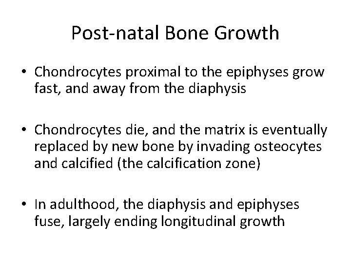 Post-natal Bone Growth • Chondrocytes proximal to the epiphyses grow fast, and away from