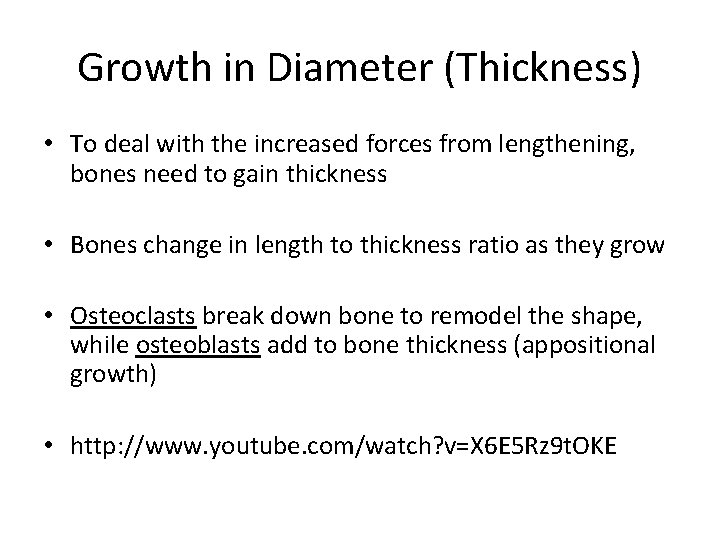Growth in Diameter (Thickness) • To deal with the increased forces from lengthening, bones