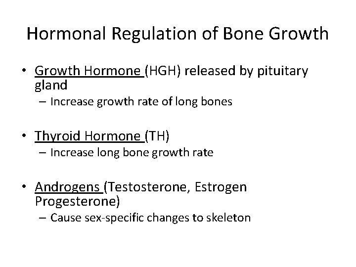 Hormonal Regulation of Bone Growth • Growth Hormone (HGH) released by pituitary gland –